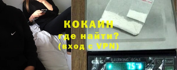 меф Арсеньев