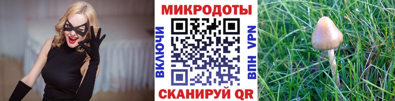 Псилоцибиновые грибы мицелий Скопин